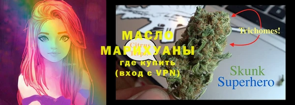 бошки Каменка