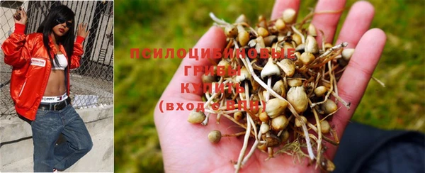 прущие крисы Каменногорск