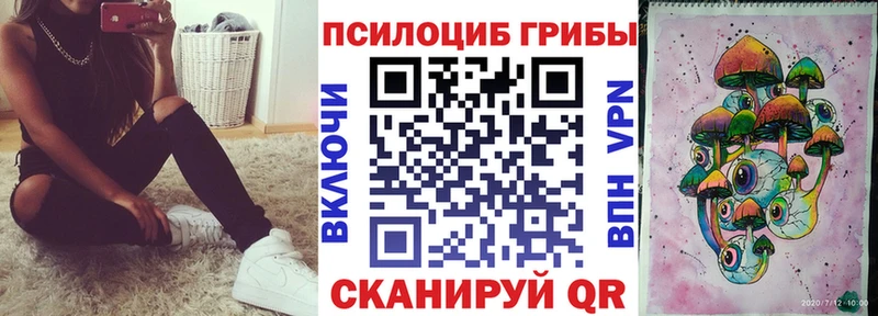 Галлюциногенные грибы прущие грибы  Суджа 